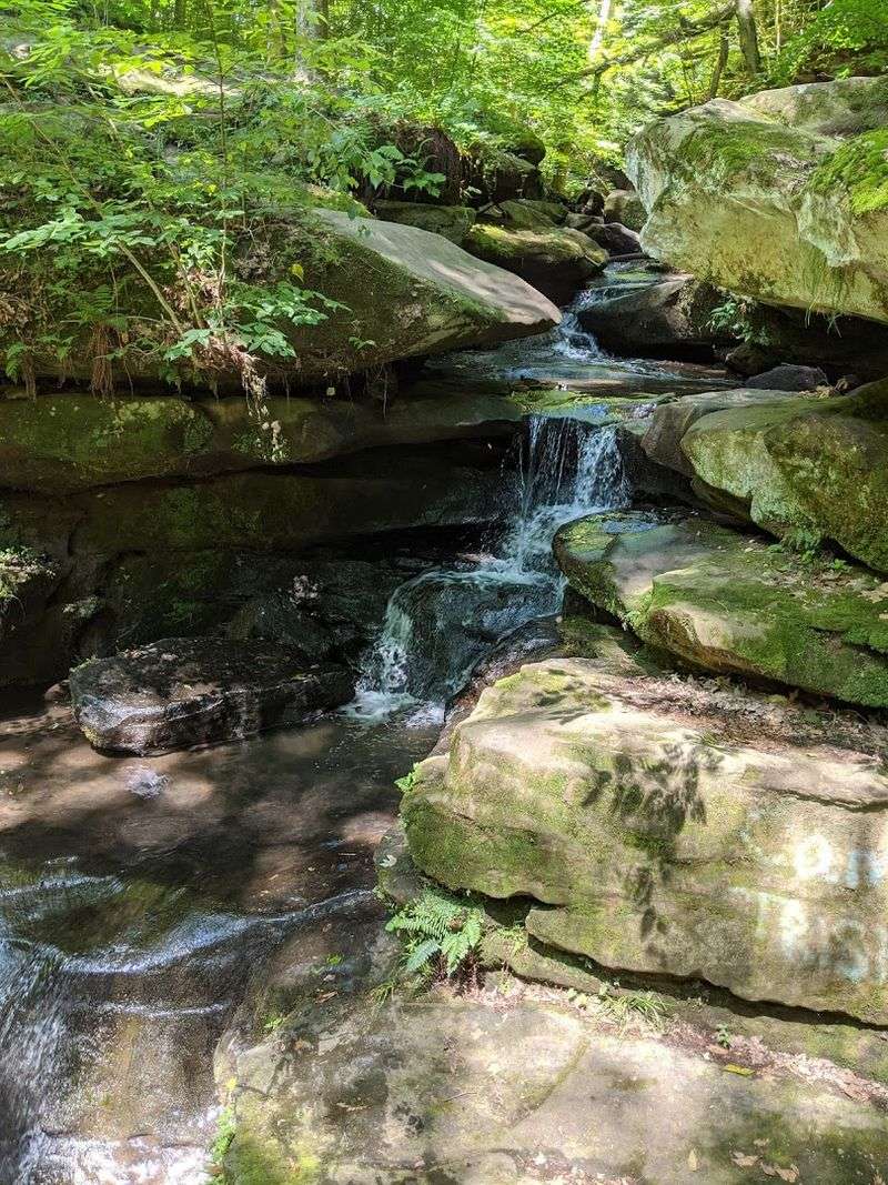 Hammock Camping And Relaxing In The Woods