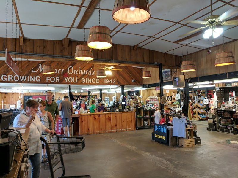 Hard Cider and Wine Tasting Bar Worth Every Sip