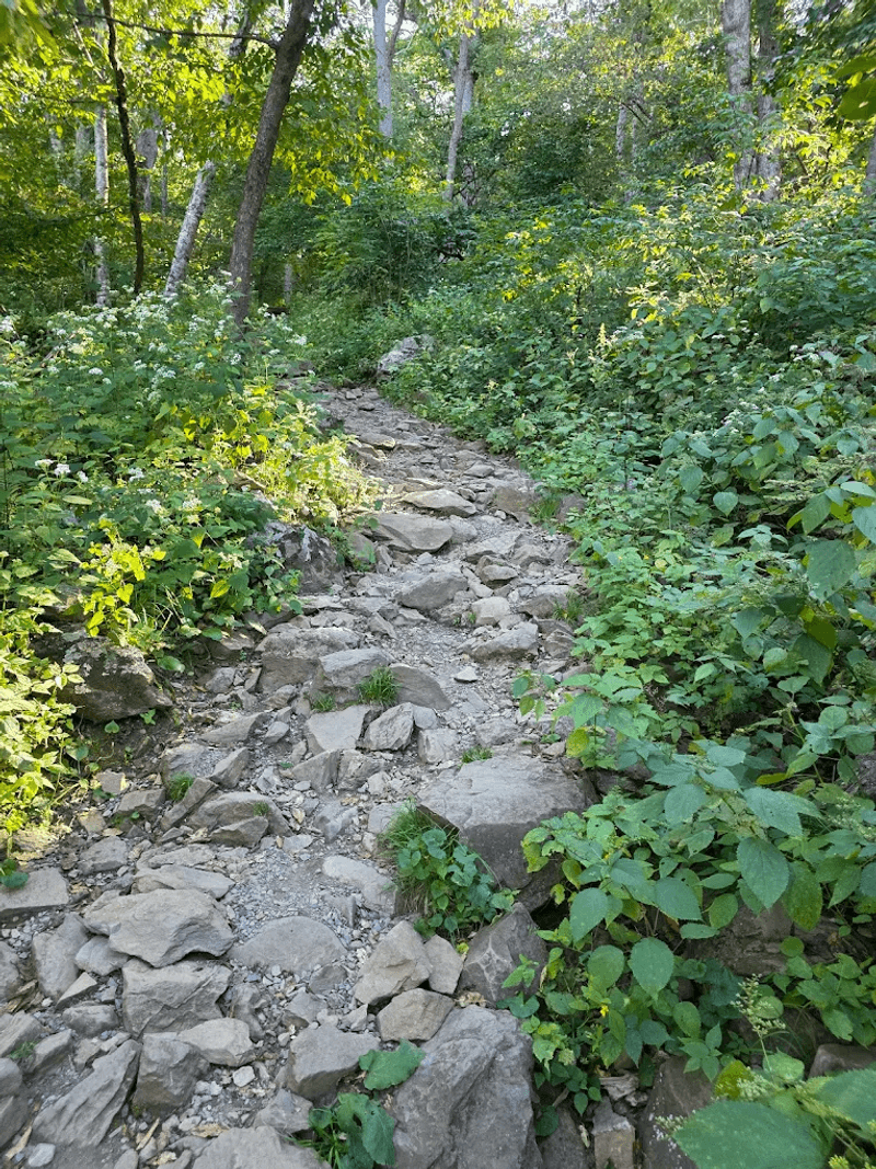 Hawksbill Summit - Luray, Virginia
