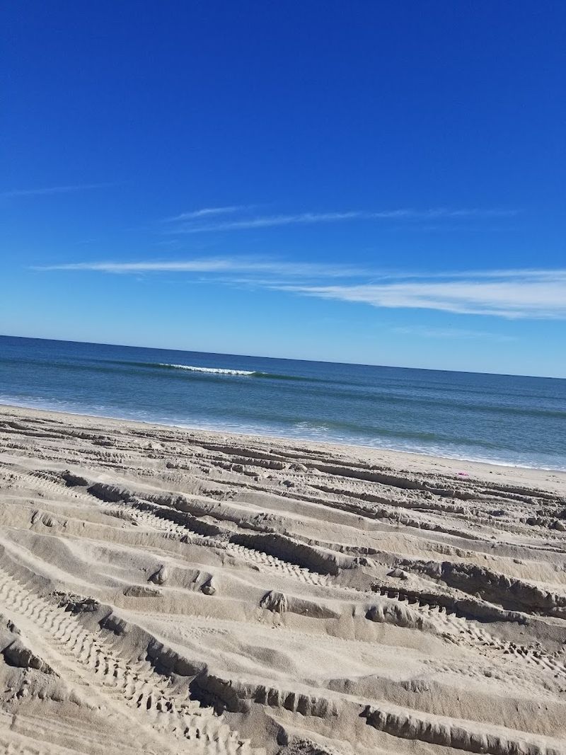 Healthy Dunes, Clean Beaches, and a Well-Maintained Shoreline Healthy Dunes, Clean Beaches, and a Well-Maintained Shoreline