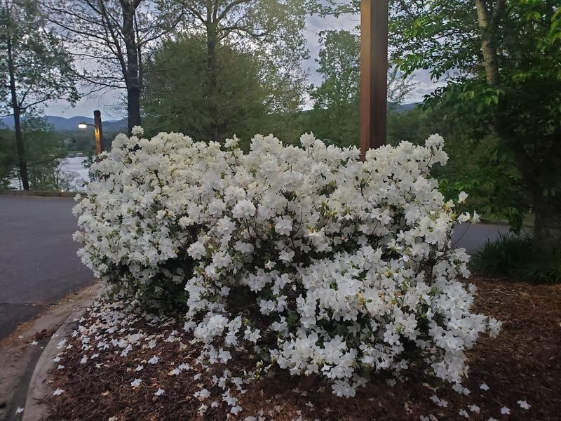 Hiawassee - Georgia