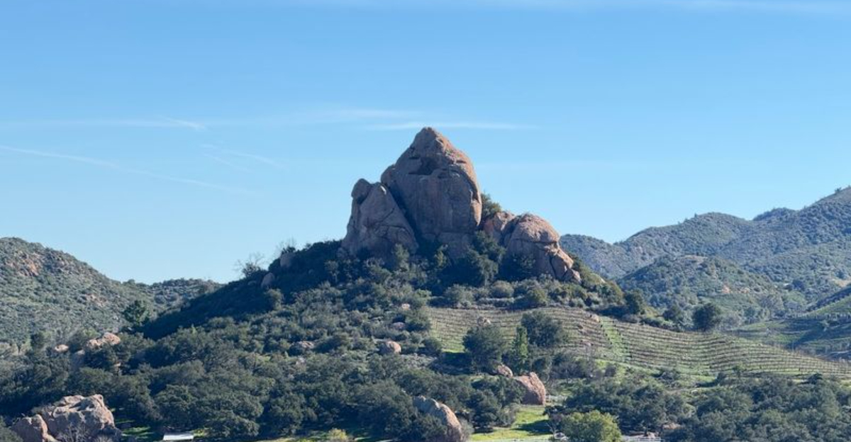 Hidden Among California’s Vineyards Is A Spectacular Hiking Trail That Somehow Still Flies Under The Radar