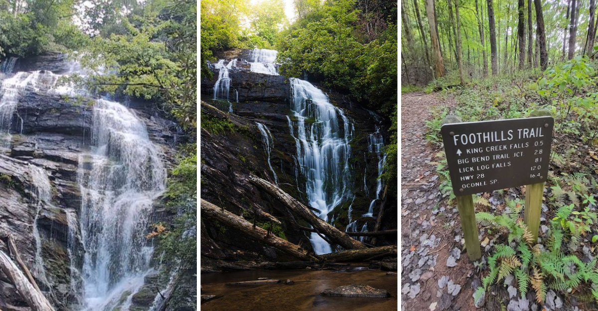 Hidden Deep In South Carolina Is A Spectacular Waterfall That Somehow Still Escapes Most Travelers