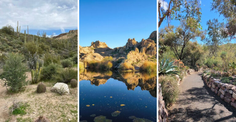 Hidden In Arizona, This Enchanting Garden Feels Like A Place Pulled Straight From A Fantasy Story