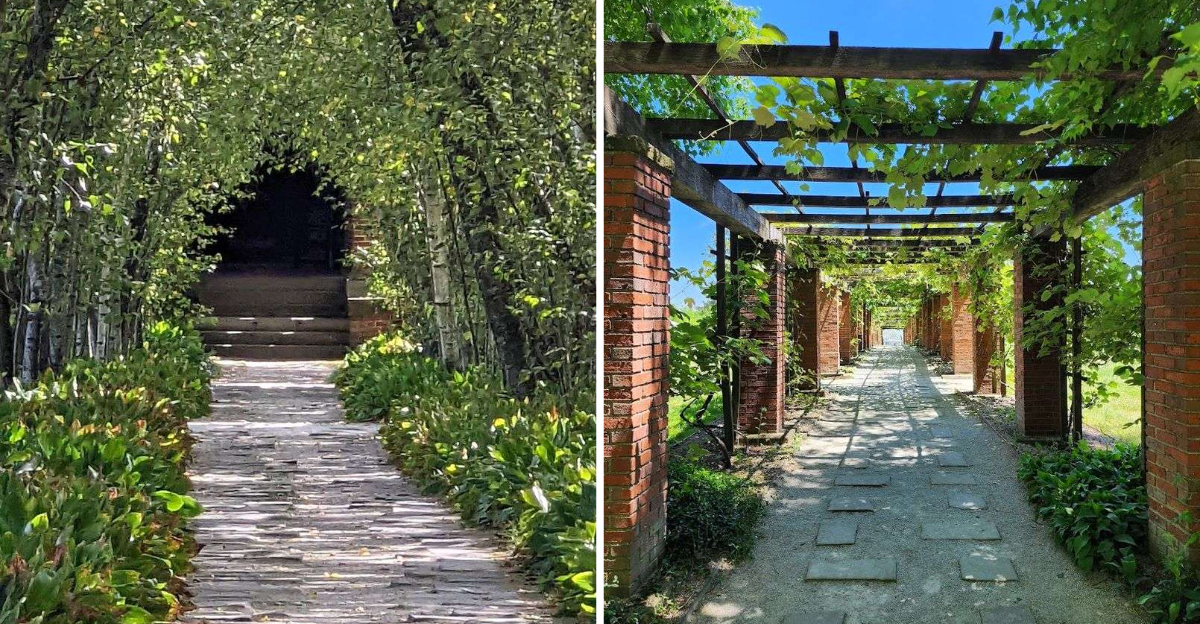 Hidden In Ohio Is A Dreamlike Tree Tunnel That Looks Like Something From A Fantasy Movie