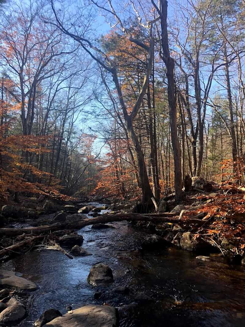 Hidden Waterfalls Worth Searching For