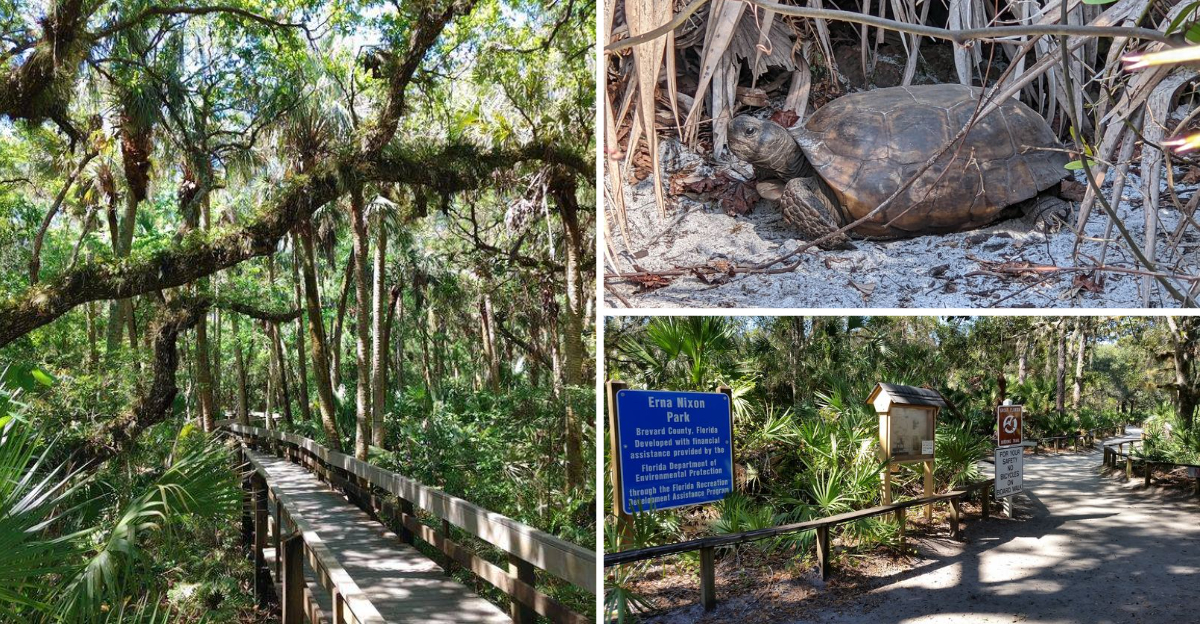 Hidden Within This Florida City Is A Charming 50 Acre Park Few People Ever Discover