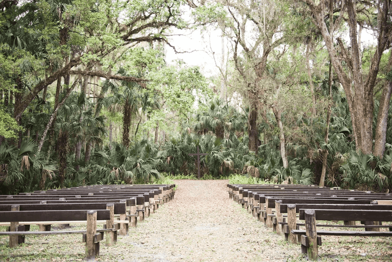Highlands Hammock State Park