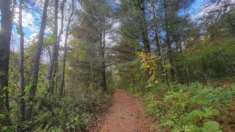 Hiking Through Appalachian Foothills Unlike Anywhere Else in Ohio Hiking Through Appalachian Foothills Unlike Anywhere Else in Ohio