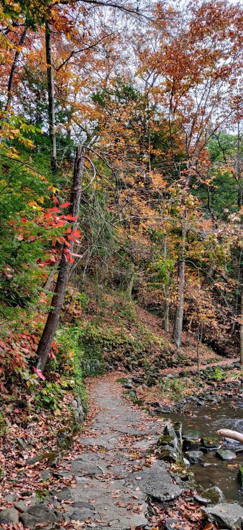 Hiking Trails That Branch Out in Every Direction