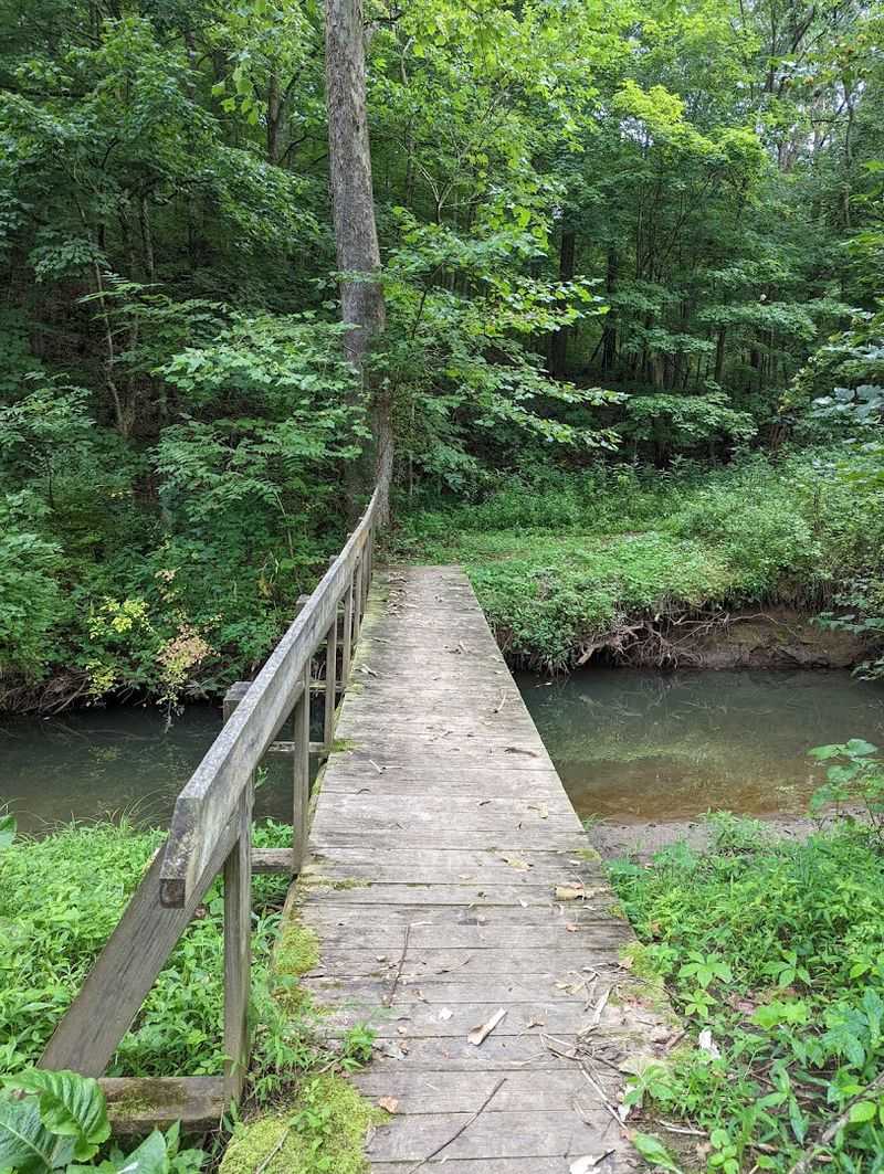 Hiking Trails That Range from Relaxing to Rugged