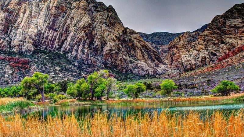 Hiking Trails That Reward Every Step With Stunning Scenery