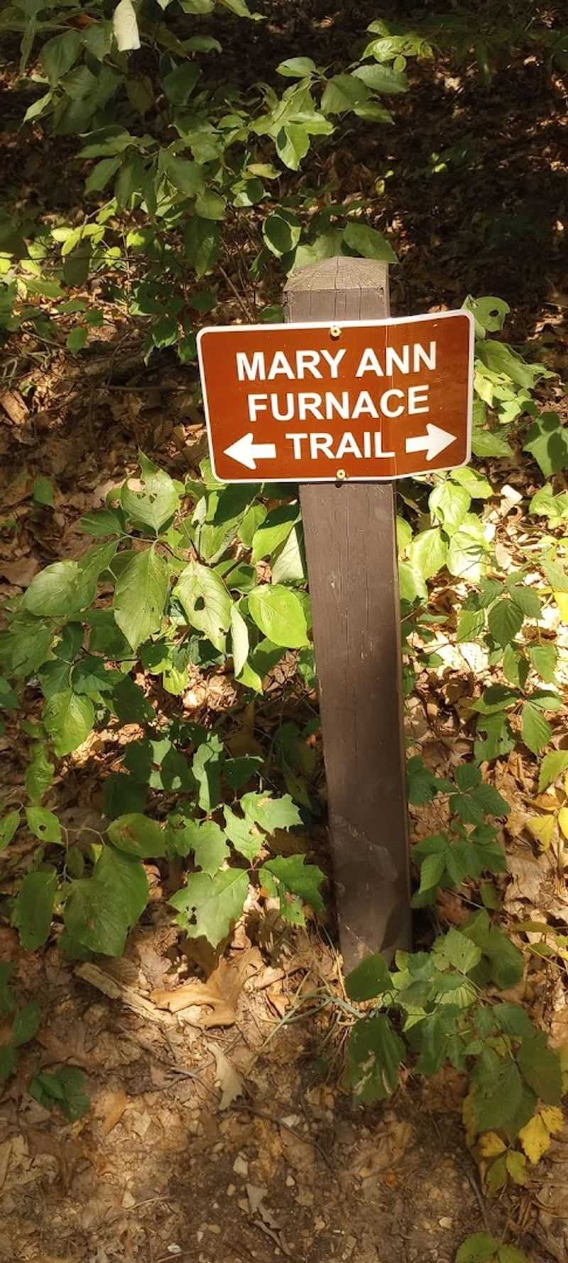 Hiking Trails That Reward You at Every Turn Hiking Trails That Reward You at Every Turn