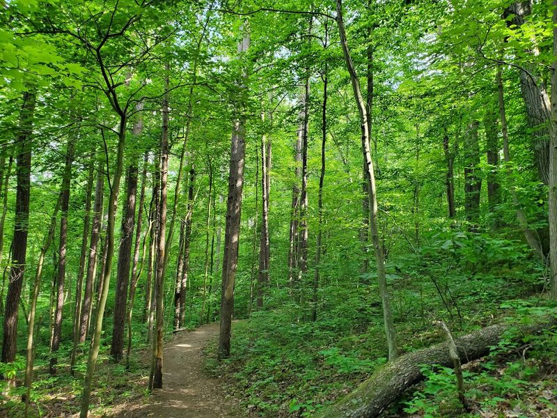 Hiking Trails That Wind Through Some of Ohio's Most Dramatic Scenery Hiking Trails That Wind Through Some of Ohio's Most Dramatic Scenery