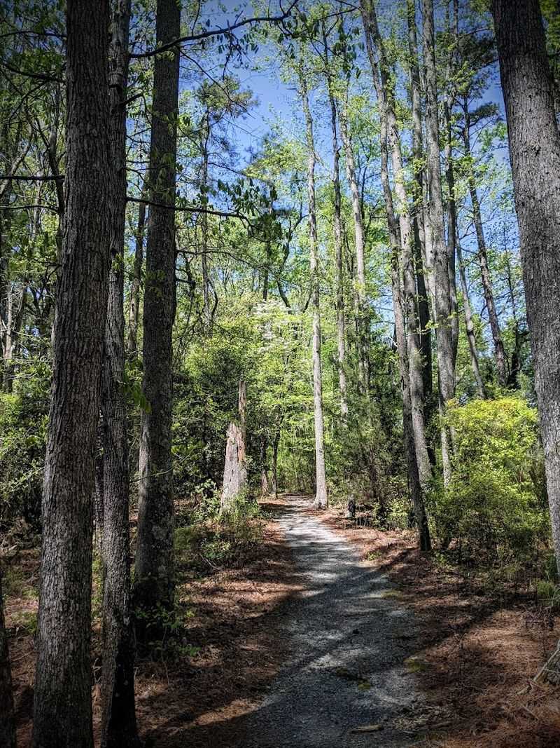 Hiking Trails That Wind Through Woods, Fields, and Marshes Hiking Trails That Wind Through Woods, Fields, and Marshes