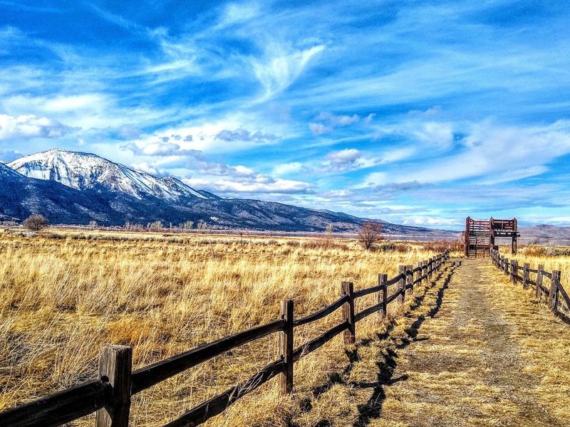 Hiking Trails Through Desert and Foothills