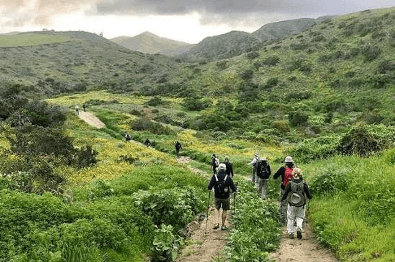 Hiking Trails With Breathtaking Views