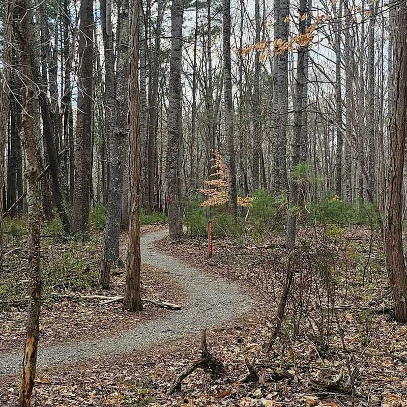 Hiking Trails With Rewarding Lake Views