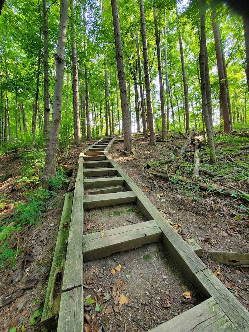 Hiking Trails Worth Lacing Up For
