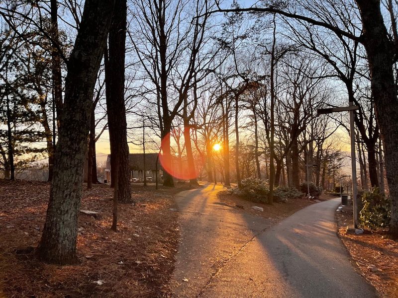 Hiking Trails for Every Fitness Level