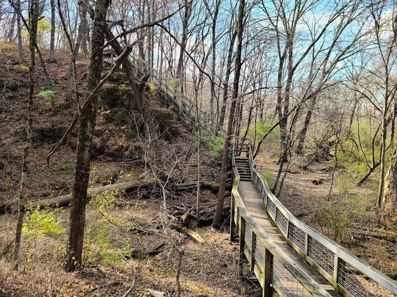 Hiking Trails for Every Skill Level