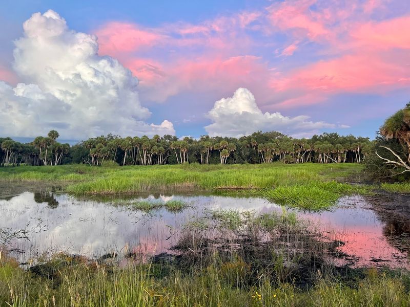 Hiking Trails for Every Skill Level Hiking Trails for Every Skill Level