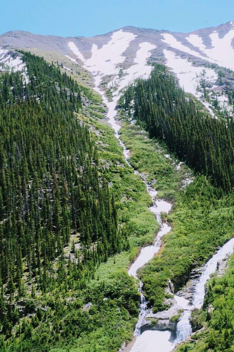 Hiking Trails for Every Skill Level