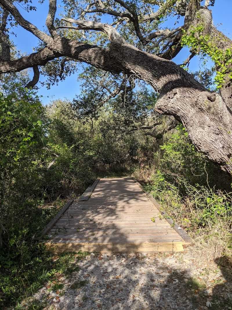 Hiking and Biking Trails Through Coastal Prairie and Marsh Hiking and Biking Trails Through Coastal Prairie and Marsh