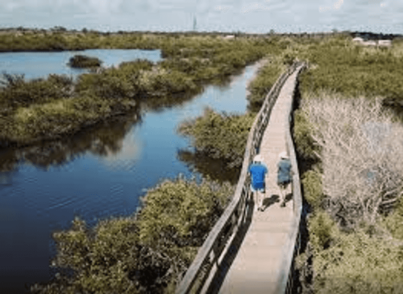 Hiking and Nature Trails Just Minutes From the Beach