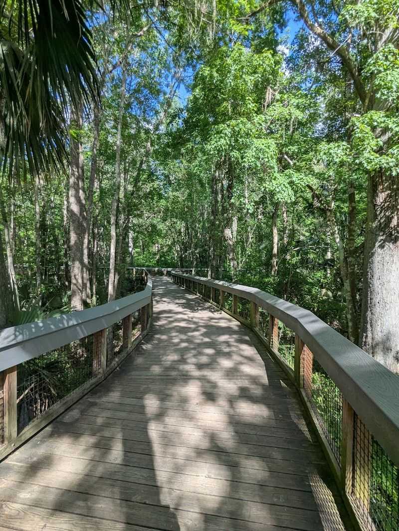 Hiking and Nature Trails Through Old-Growth Forest