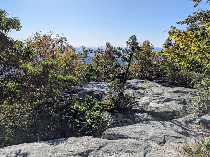 Hiking with Dogs at McAfee Knob