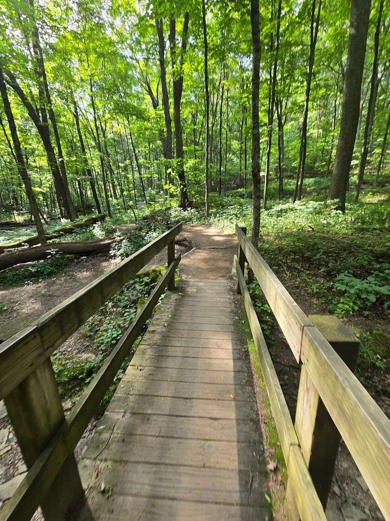 Hiking with Kids: A Family-Friendly Destination Hiking with Kids: A Family-Friendly Destination