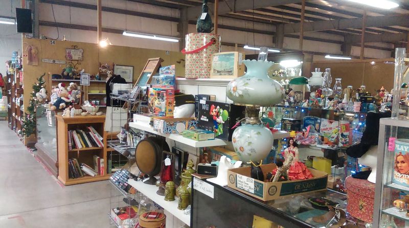 History Books and Old Knick-Knacks Worth Discovering