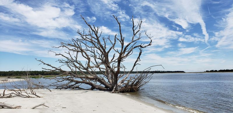 History Hidden in Plain Sight: Sapelo Island's Remarkable Past