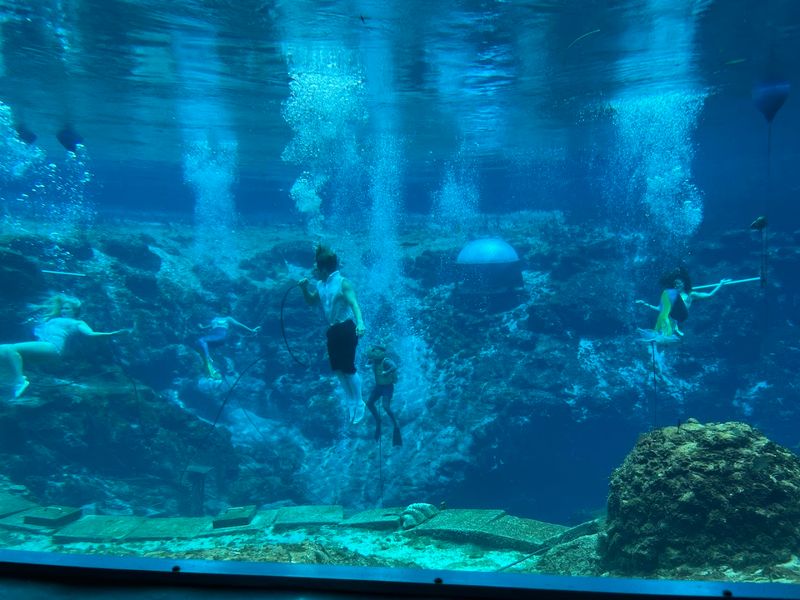 History and Legacy of Weeki Wachee Springs