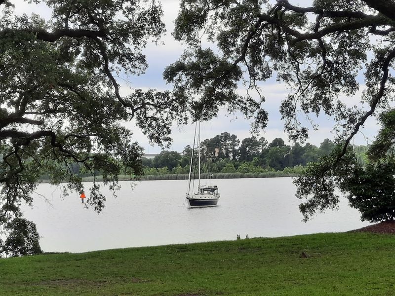 Hobcaw Barony Nature Reserve