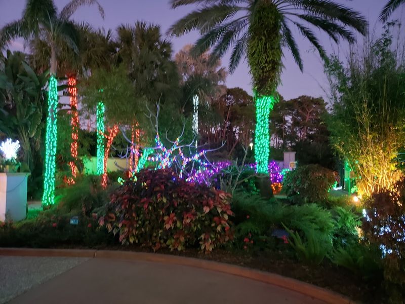 Holiday Lights in the Garden — A Magical Winter Tradition