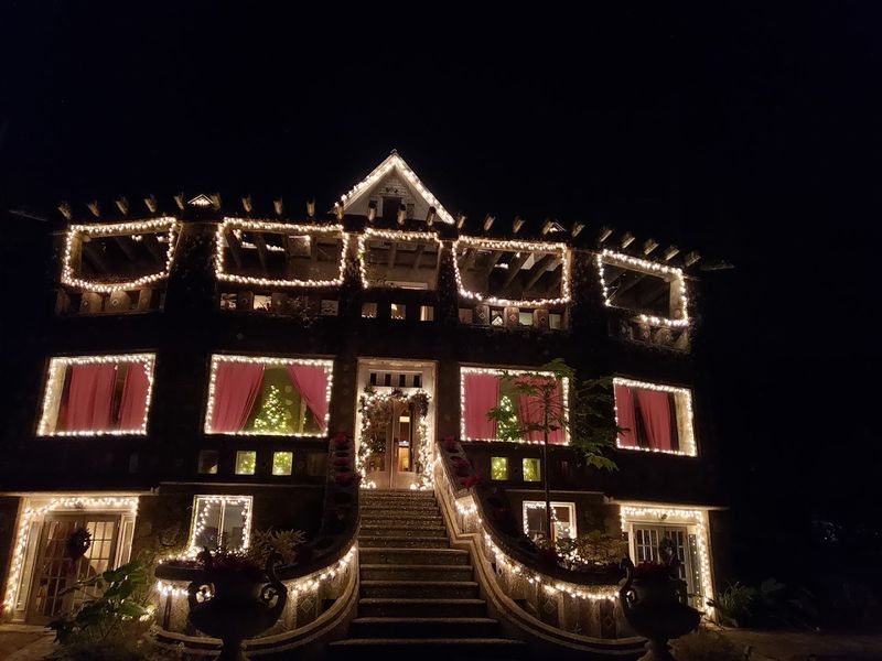 Holiday Tours With Food That Make the Experience Truly Special
