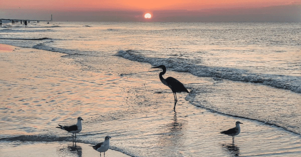 Home To The States Longest Pier This Small Florida Beach Town Is Perfect For A Family Getaway