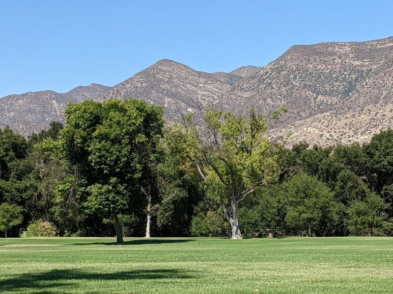 Horn Canyon Trail