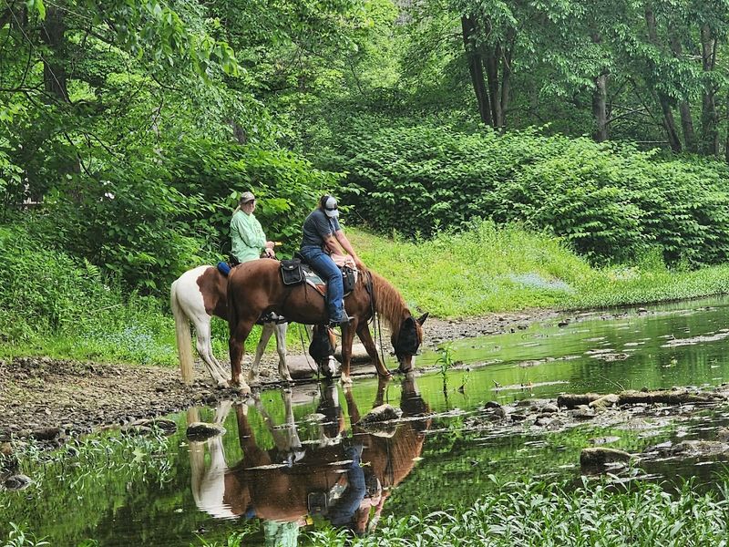 Horseback Riding Trails Stretching Across 20-Plus Miles