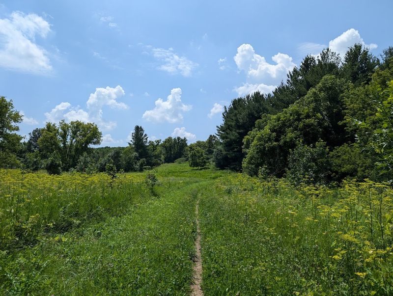 Horseback Riding Trails in a Natural Setting