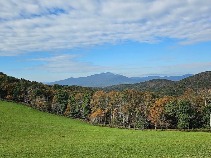 Horseback Riding on Shared Trails Horseback Riding on Shared Trails