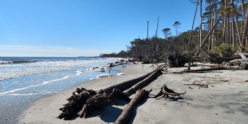 Horseback Riding on the Beach