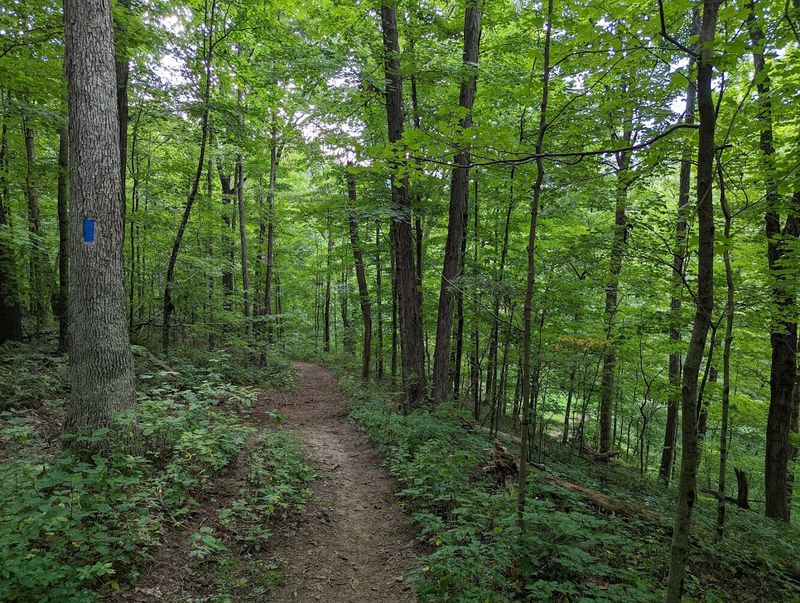 How to Plan Your Perfect Visit to Jefferson Lake State Park