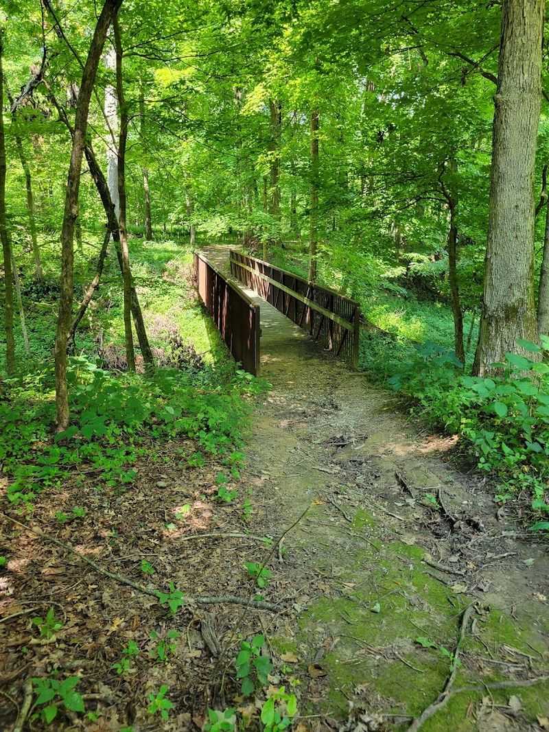 How to Plan Your Visit to Beall Woods How to Plan Your Visit to Beall Woods