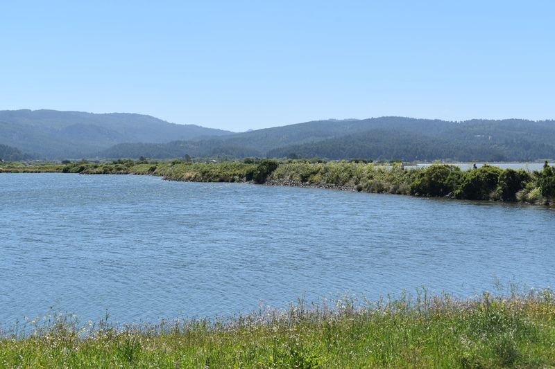 Humboldt Bay: Calm Waters and Stunning Coastal Views