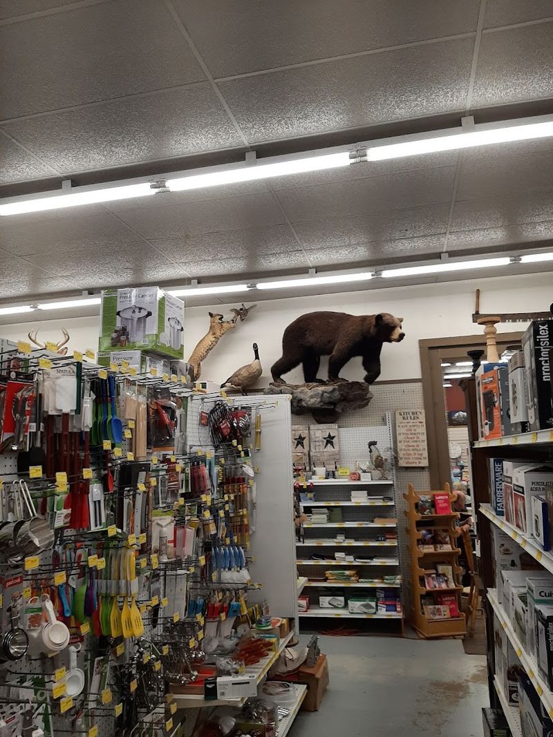 Hunting and Fishing Supplies for Every Season
