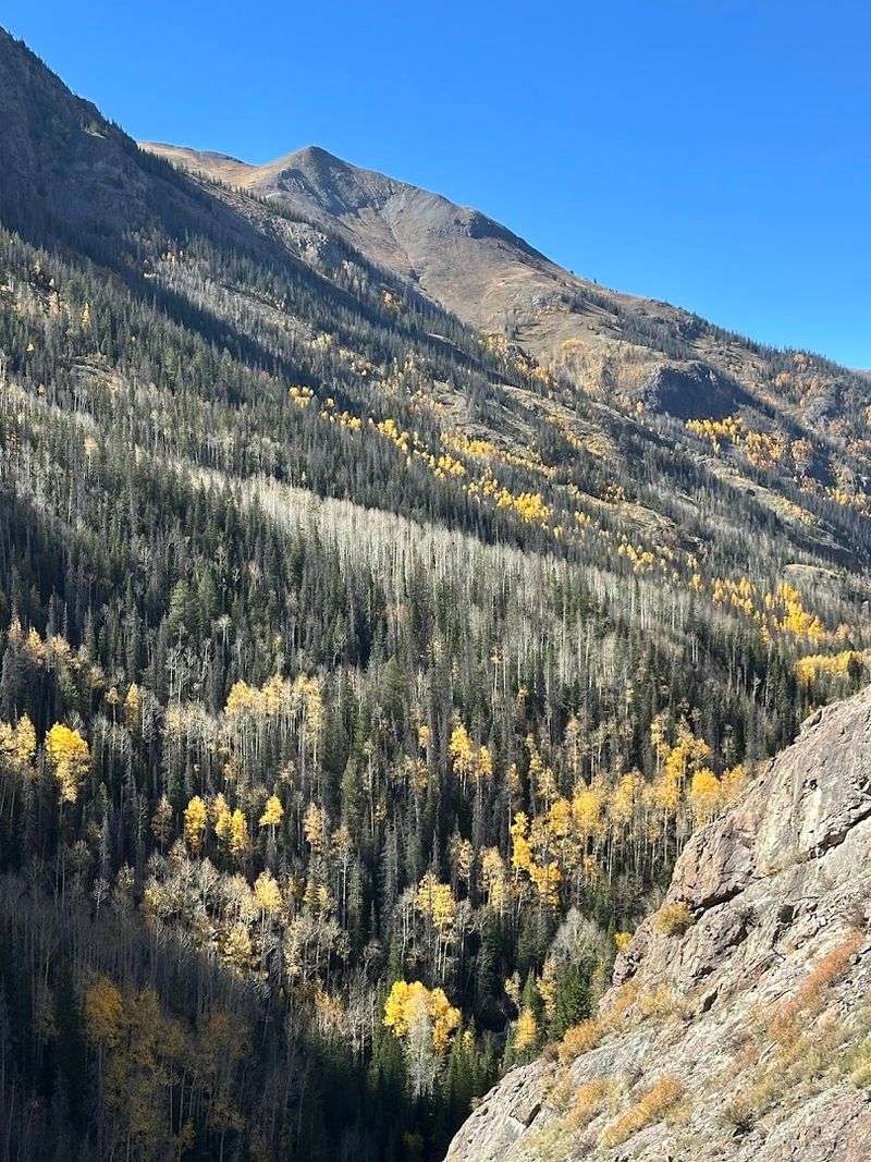 Hunting and Wildlife Watching in Pristine Wilderness