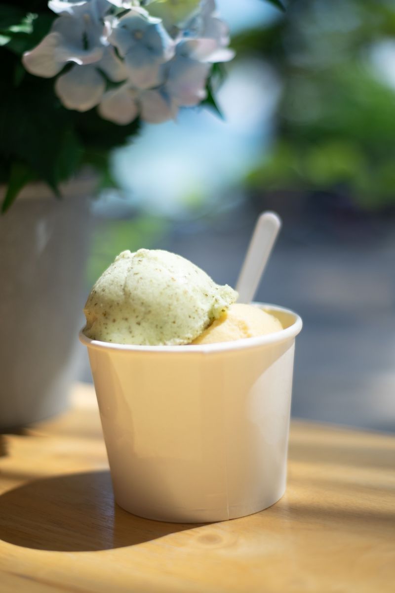 Ice Cream